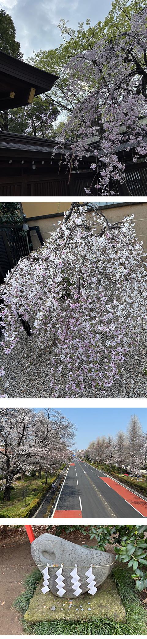 波動マントラアート