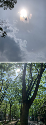 波動マントラ