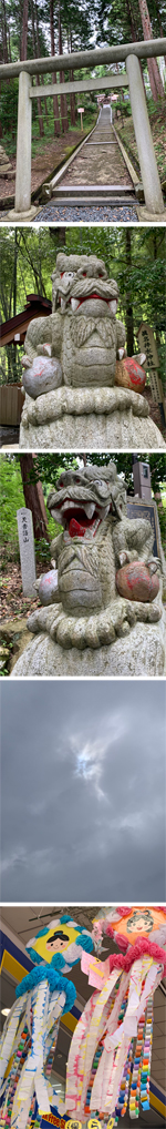 波動マントラ