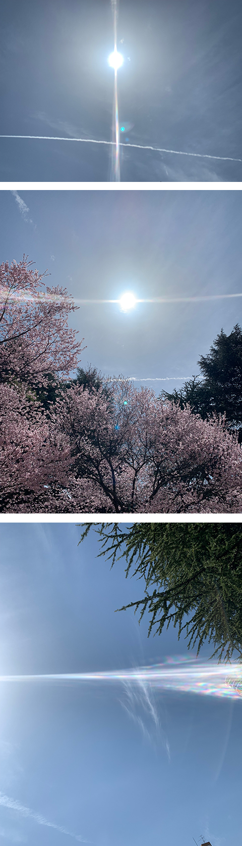 波動マントラアート